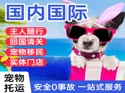 秦皇岛北戴河航空物流国际宠物托运 【国